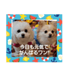 LUNA＆SEAイロイロ人生！！（個別スタンプ：31）