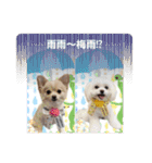 LUNA＆SEAイロイロ人生！！（個別スタンプ：32）