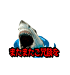 動く！サメ3D 敬語バージョン（個別スタンプ：7）