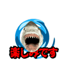 動く！サメ3D 敬語バージョン（個別スタンプ：16）