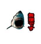 動く！サメ3D 敬語バージョン（個別スタンプ：19）