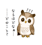理解できないフクロウ（個別スタンプ：1）