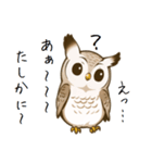 理解できないフクロウ（個別スタンプ：3）