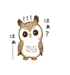 理解できないフクロウ（個別スタンプ：5）