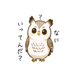 理解できないフクロウ（個別スタンプ：8）