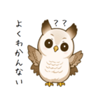 理解できないフクロウ（個別スタンプ：11）