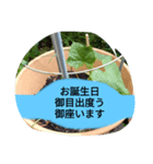 月山線頼冷尼充弐アザラシとか壱（個別スタンプ：7）
