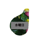 月山線頼冷尼充弐アザラシとか壱（個別スタンプ：14）