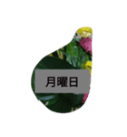 月山線頼冷尼充弐アザラシとか壱（個別スタンプ：15）