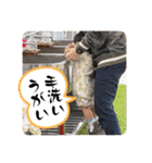 しんらすたんぷ 2（個別スタンプ：35）
