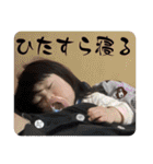 しんらすたんぷ 2（個別スタンプ：37）