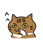 エモさがしねこ（個別スタンプ：24）