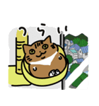 エモさがしねこ（個別スタンプ：25）