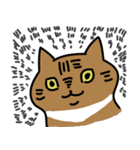 エモさがしねこ（個別スタンプ：27）