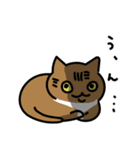 エモさがしねこ（個別スタンプ：28）