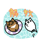 エモさがしねこ（個別スタンプ：31）