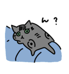 エモさがしねこ（個別スタンプ：40）