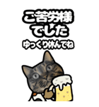 キジトラ猫BIG11(敬語)（個別スタンプ：23）