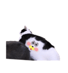 面白ねこーずスタンプ（個別スタンプ：32）