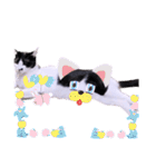 面白ねこーずスタンプ（個別スタンプ：33）