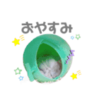 ボスのスタンプ No.2（個別スタンプ：2）
