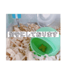 ボスのスタンプ No.2（個別スタンプ：11）