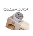 ボスのスタンプ No.2（個別スタンプ：13）