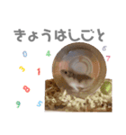 ボスのスタンプ No.2（個別スタンプ：14）