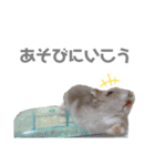 ボスのスタンプ No.2（個別スタンプ：15）