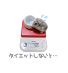 ボスのスタンプ No.2（個別スタンプ：16）