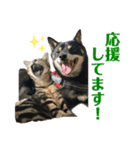 黒柴犬と猫の季節の挨拶（個別スタンプ：17）