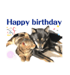 黒柴犬と猫の季節の挨拶（個別スタンプ：20）