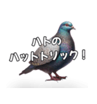 ⚫【ハト 】リアル鳩 はとぽっぽハトポッポ（個別スタンプ：5）