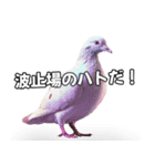 ⚫【ハト 】リアル鳩 はとぽっぽハトポッポ（個別スタンプ：9）