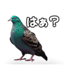 ⚫【ハト 】リアル鳩 はとぽっぽハトポッポ（個別スタンプ：16）