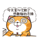 ランラン猫 45 (台湾版)（個別スタンプ：2）