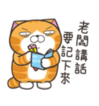 ランラン猫 45 (台湾版)（個別スタンプ：5）