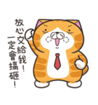 ランラン猫 45 (台湾版)（個別スタンプ：11）