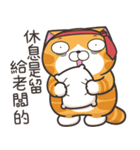 ランラン猫 45 (台湾版)（個別スタンプ：12）