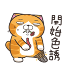 ランラン猫 45 (台湾版)（個別スタンプ：13）