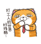ランラン猫 45 (台湾版)（個別スタンプ：16）
