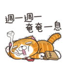 ランラン猫 45 (台湾版)（個別スタンプ：23）