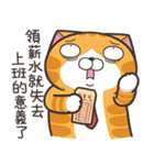 ランラン猫 45 (台湾版)（個別スタンプ：24）