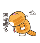 ランラン猫 45 (台湾版)（個別スタンプ：25）