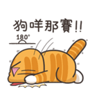 ランラン猫 45 (台湾版)（個別スタンプ：27）