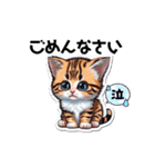 リアルニャンコシールのスタンプ（個別スタンプ：18）