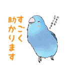 コザクラインコ ピノとその仲間たち3（個別スタンプ：3）