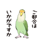 コザクラインコ ピノとその仲間たち3（個別スタンプ：7）