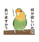 コザクラインコ ピノとその仲間たち3（個別スタンプ：9）