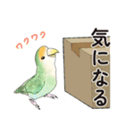 コザクラインコ ピノとその仲間たち3（個別スタンプ：17）